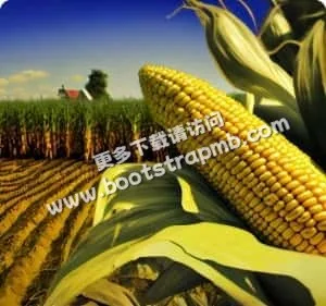 汇聚海量体育资讯，精彩不容错过 - 雷速litian